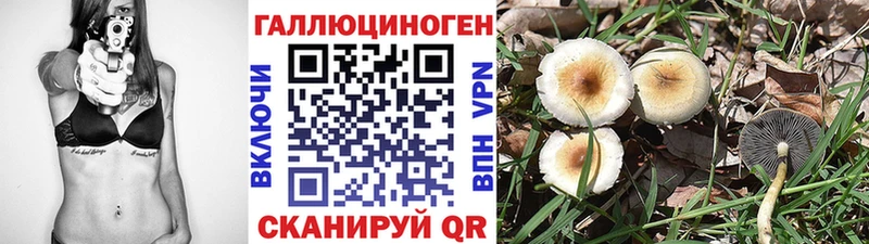 Галлюциногенные грибы Cubensis  ОМГ ОМГ ССЫЛКА  Кологрив 